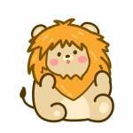 sean zhang Profile Picture