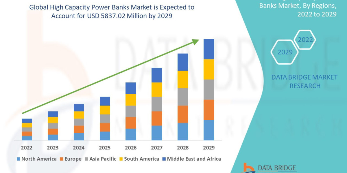 High Capacity Power Banks Market Growth Driven by Rising Demand for Portable Charging
