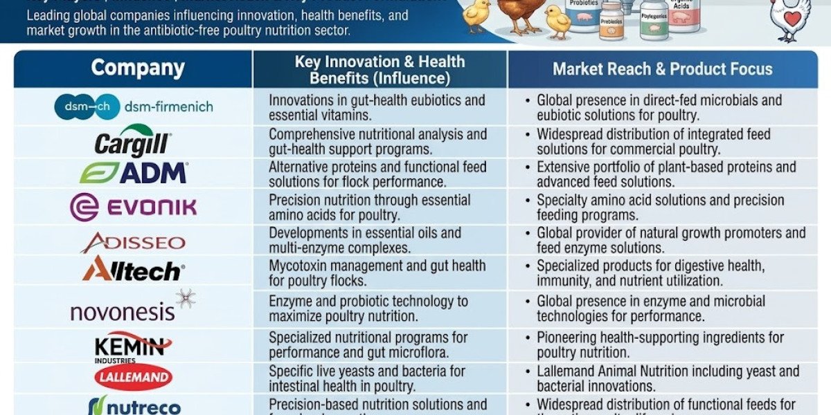 Antibiotic-Free Poultry Nutrition Market Size Projected at USD 4.67 Billion by 2036 on Broiler and Probiotic Demand